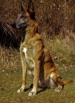 ully-47.jpg